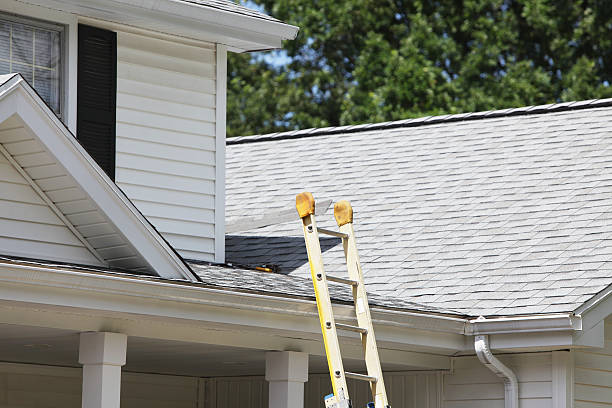 Best Stucco Siding  in Inverness Highlands South, FL